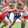 Sydney Swans North Melbourne