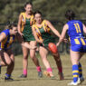 Sawtell/Toormina's Indi Loos gets a kick away for the North Coast Force despite the opposition attention from the North West Blue Heelers.